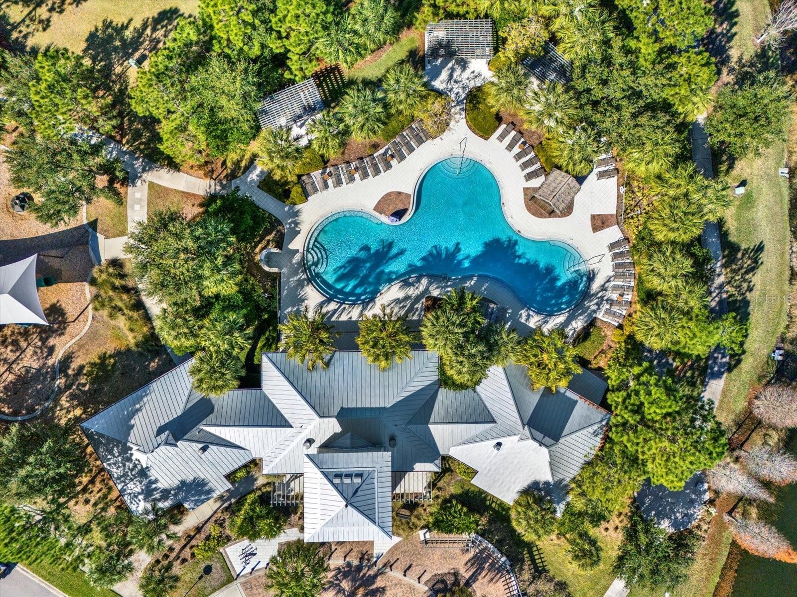 Aerial Pool/Community