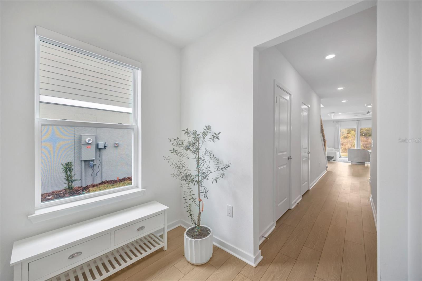 Foyer and Entry Hallway