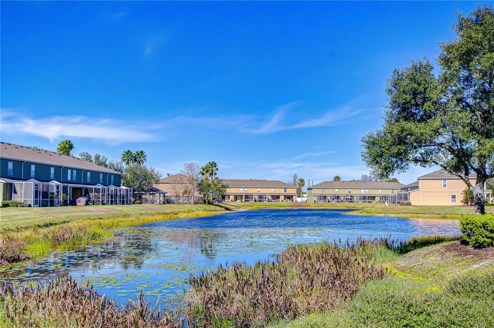 Beautiful neighborhood!