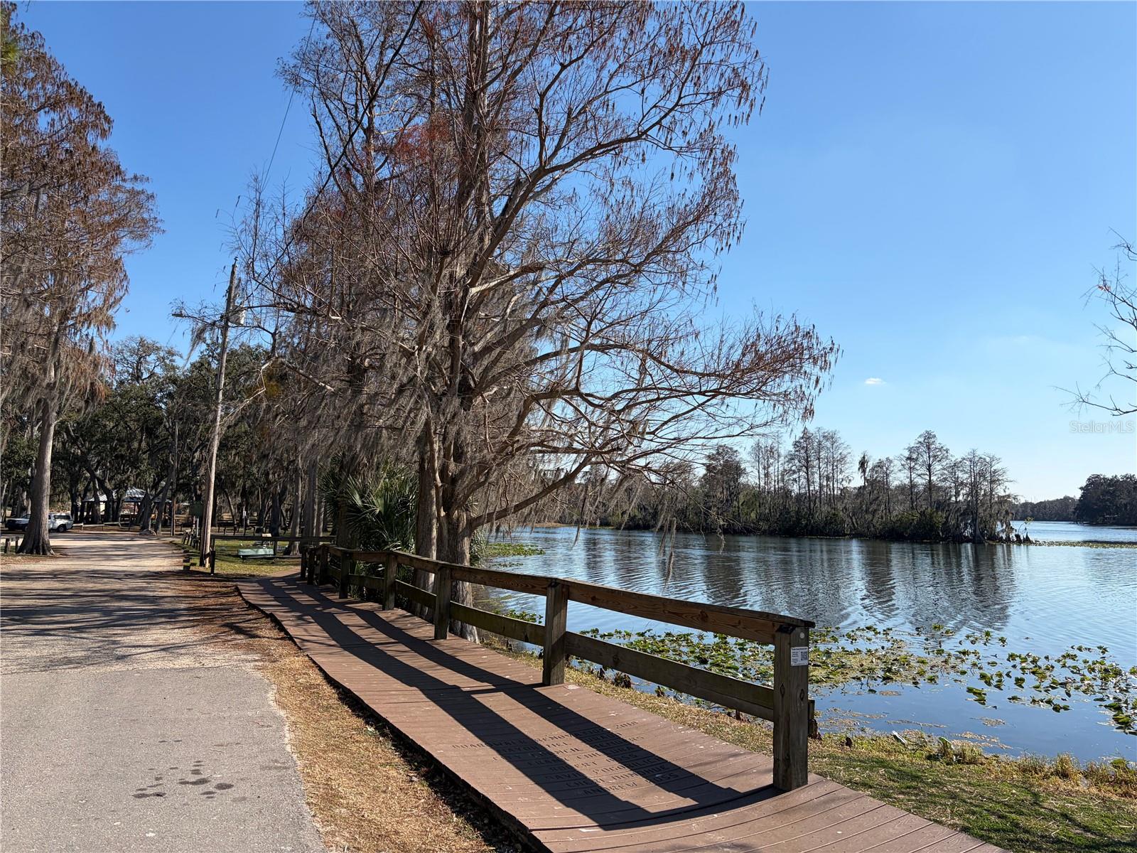 Enjoy Riverhills Park on the Hillsborough River