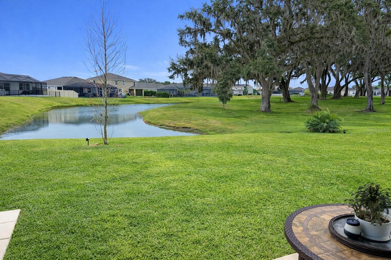 View from the Back Patio