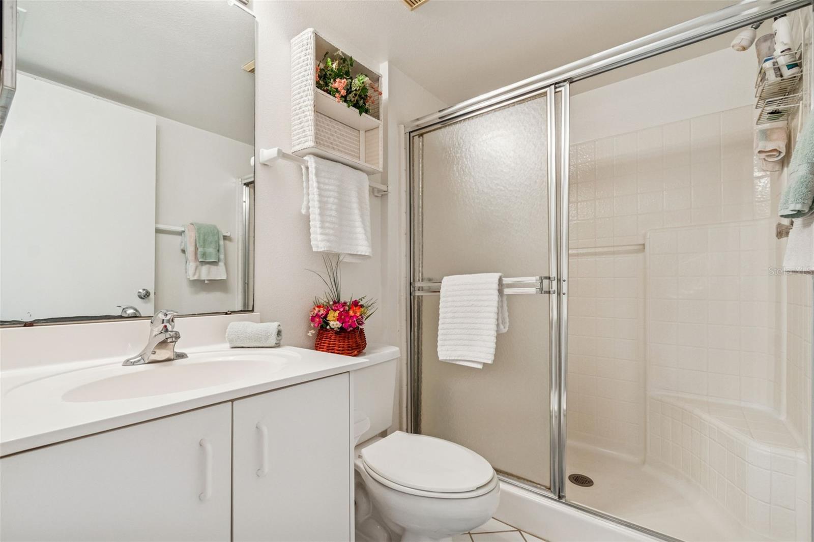 Guest bathroom with walk-in shower