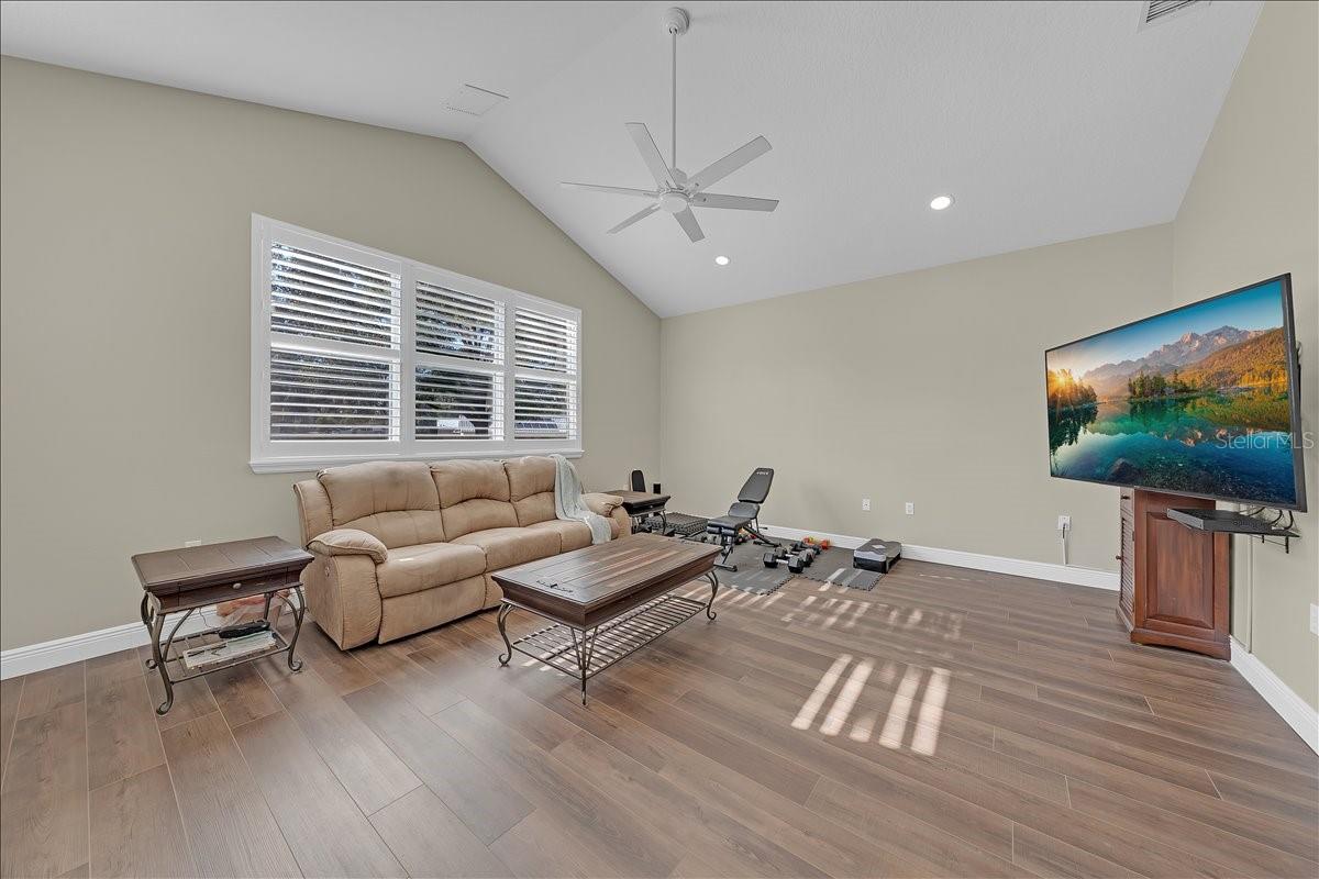 Bonus room with vaulted ceiling!