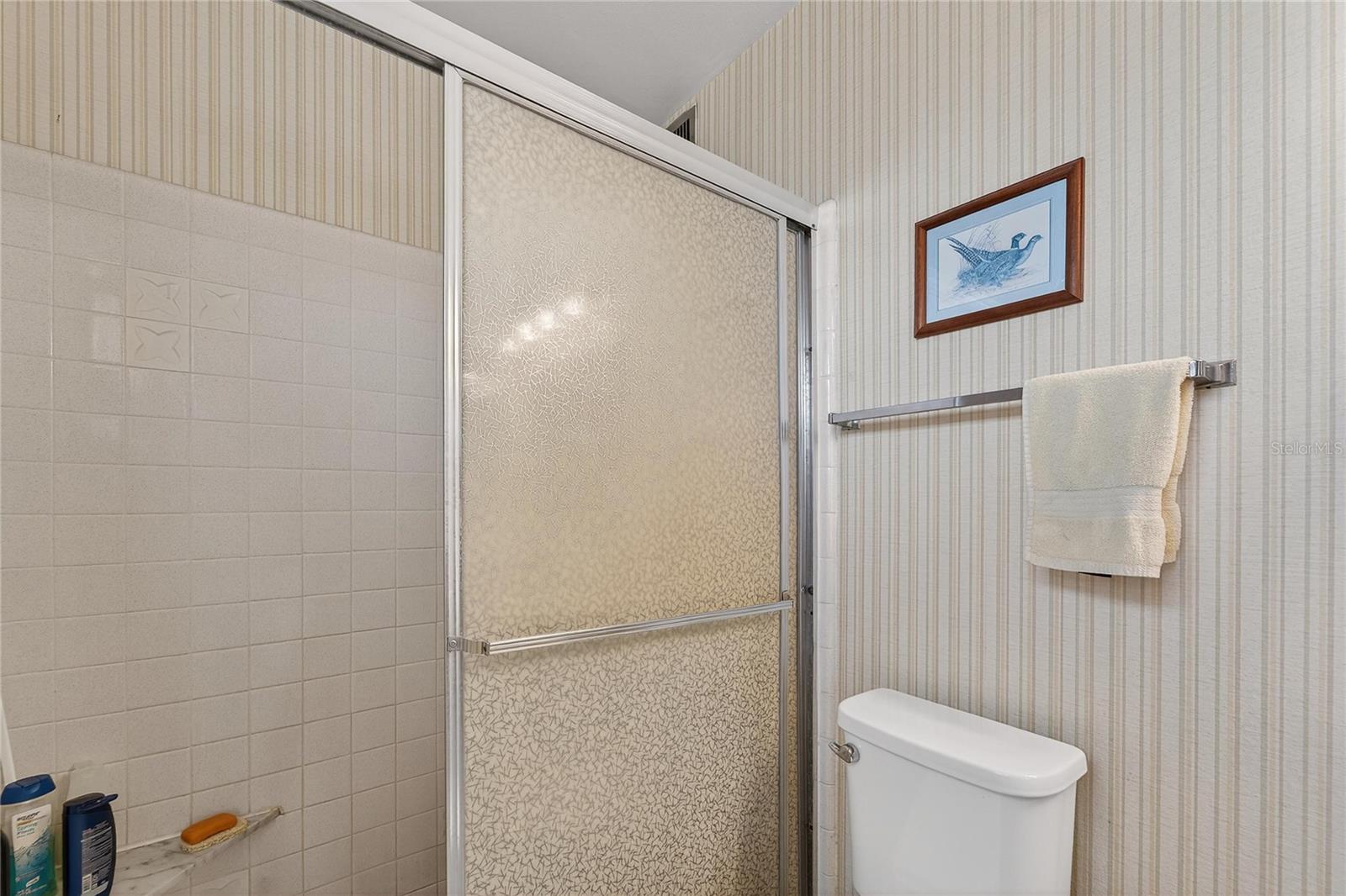 TB8469834 - shower with shelf