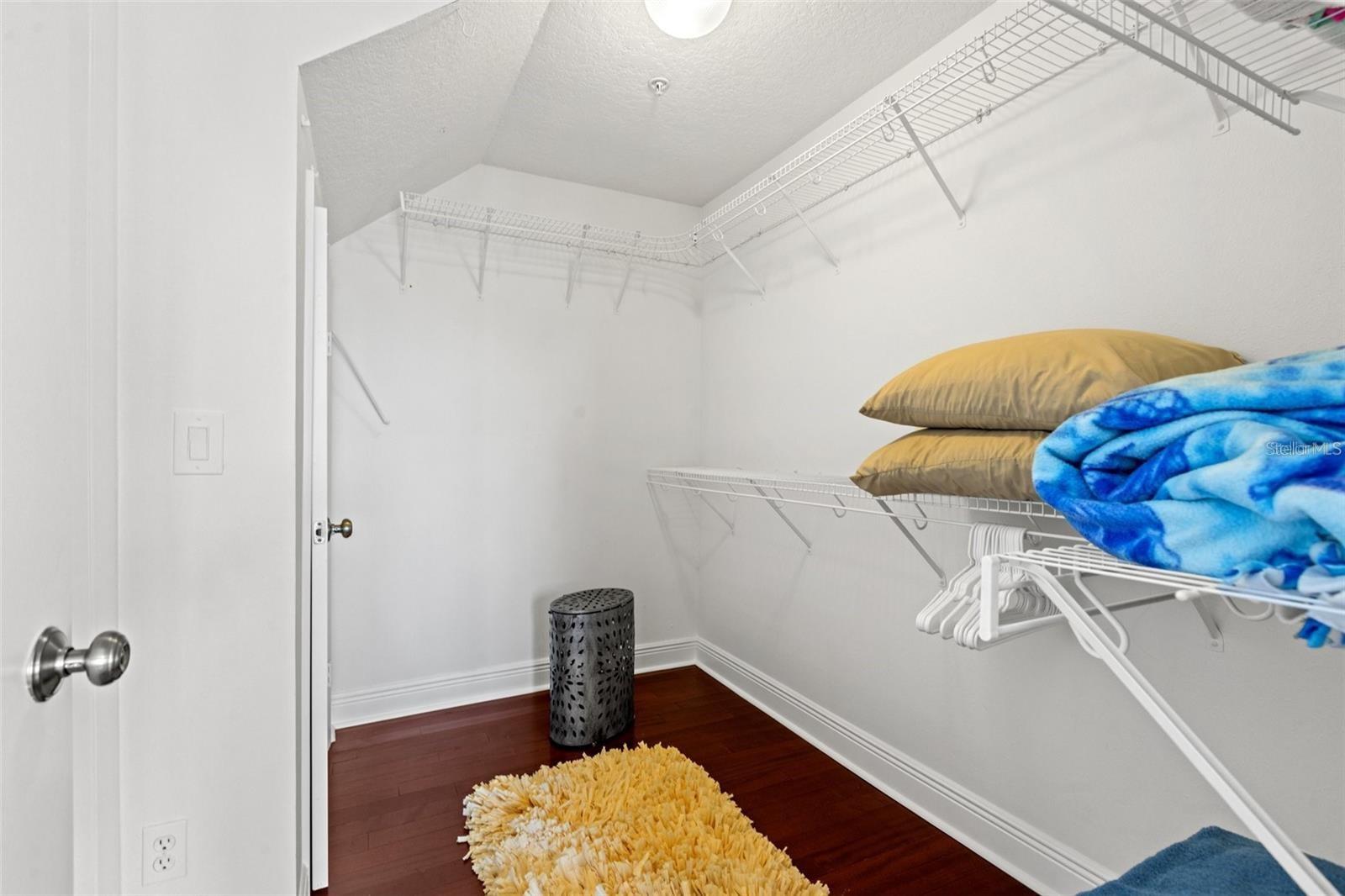 Large Walk in Closet