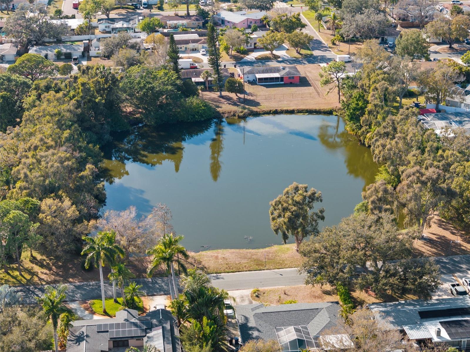Meadowlawn neighborhood.