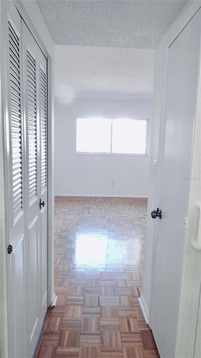 Hallway in Master with Closets on either side