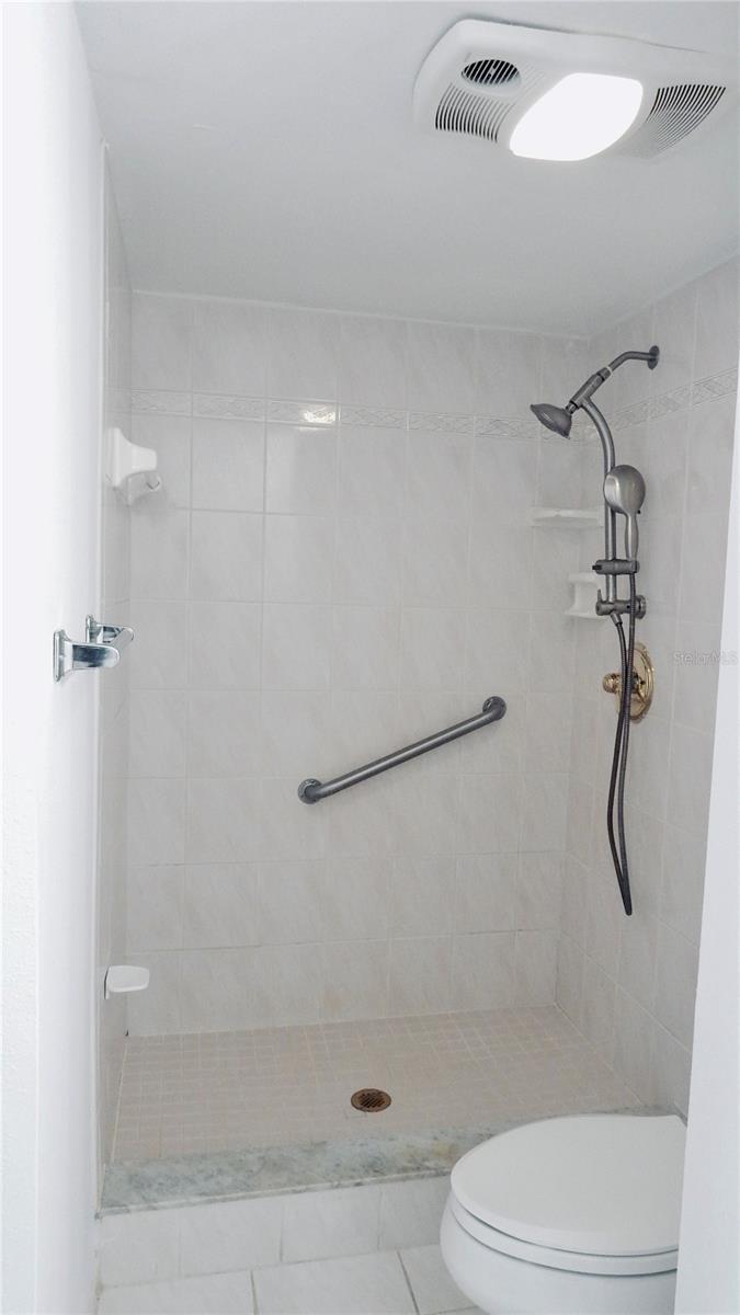 Master Bathroom Shower