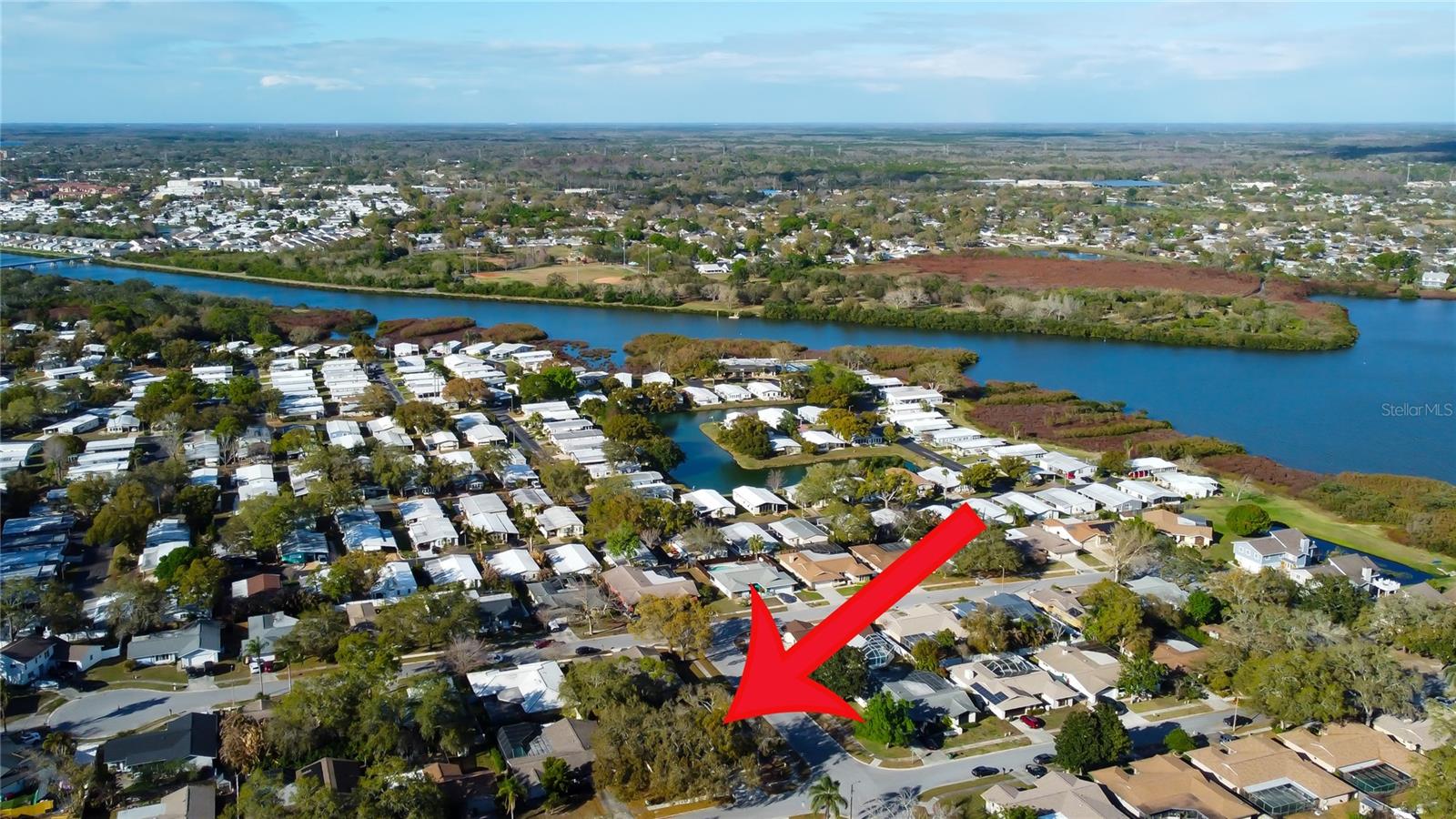 79. Near Dunedin, and just minutes from Countryside Mall!