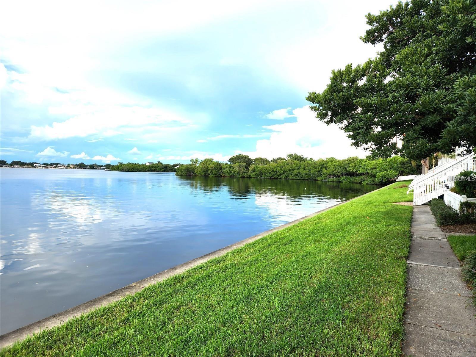 View of Big Bayou from backyard