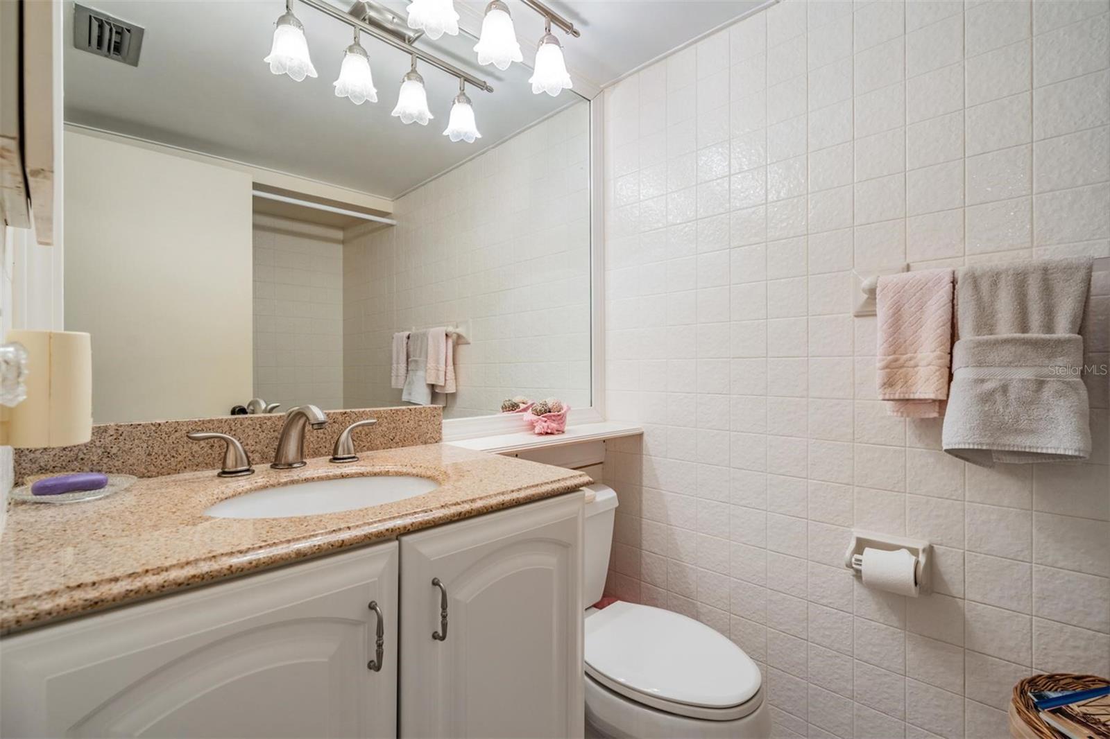 Guest Full Bath with newer vanity & lighting