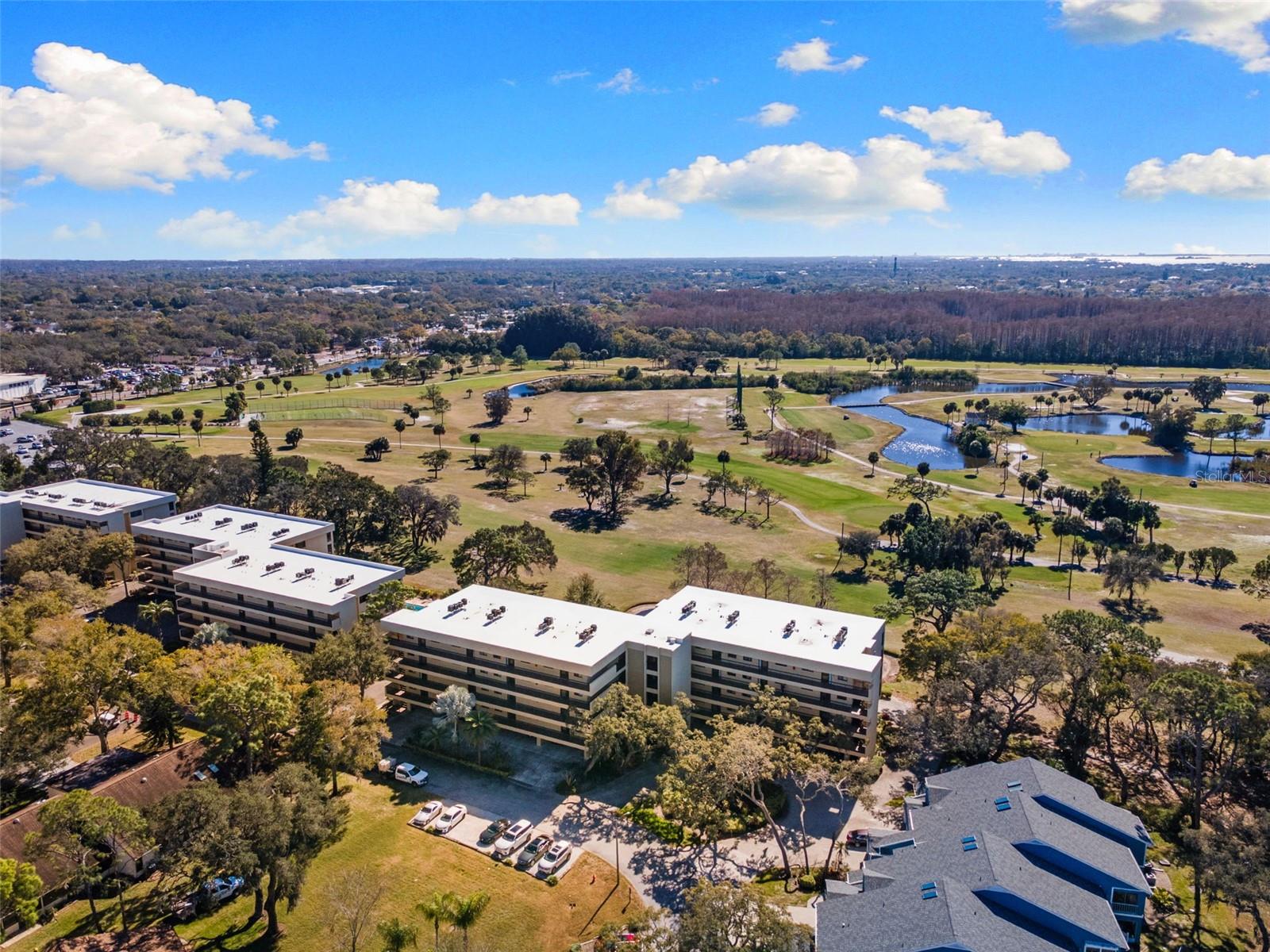 Building and Overall Landscape