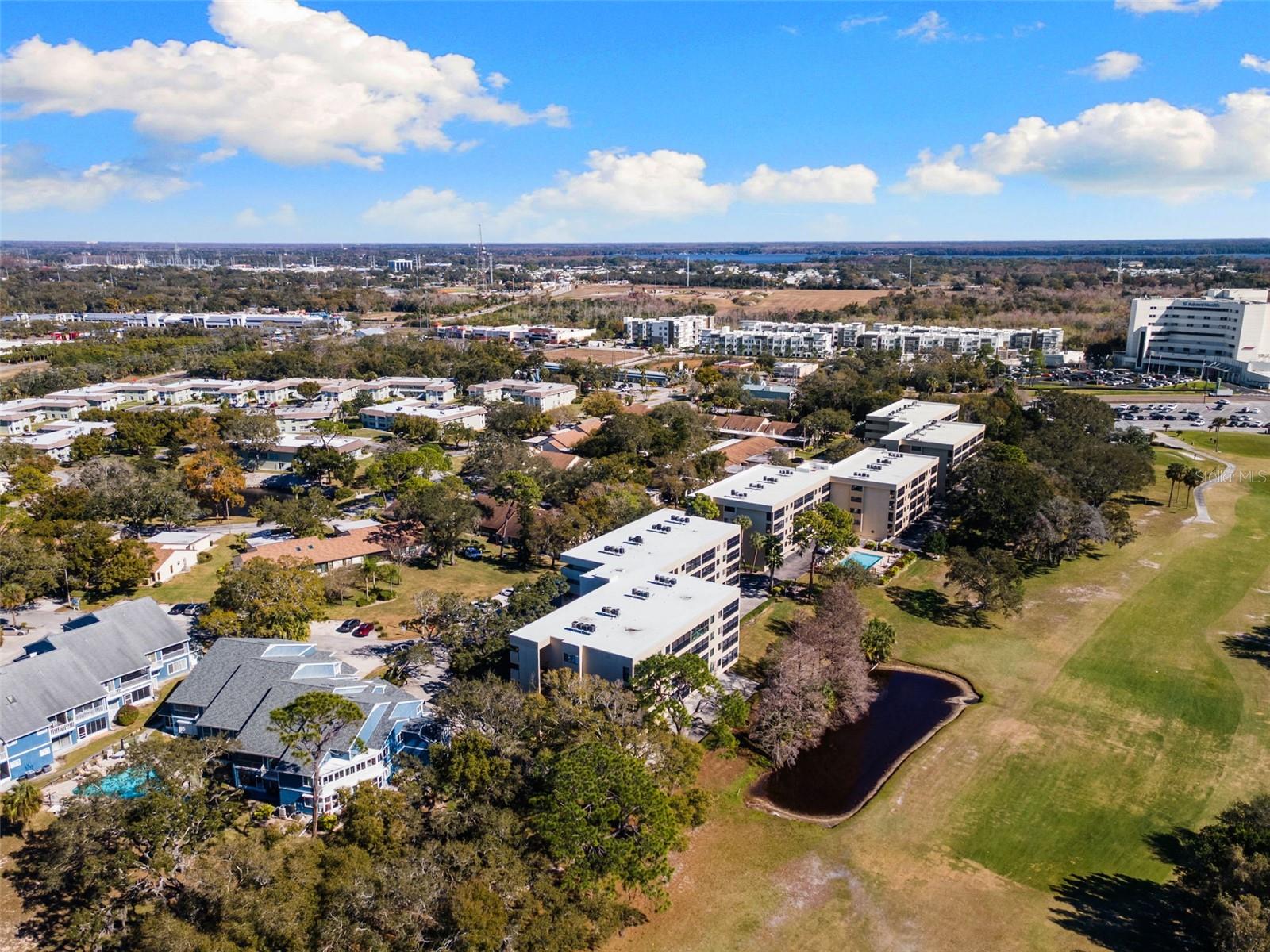 Building and Overall Landscape
