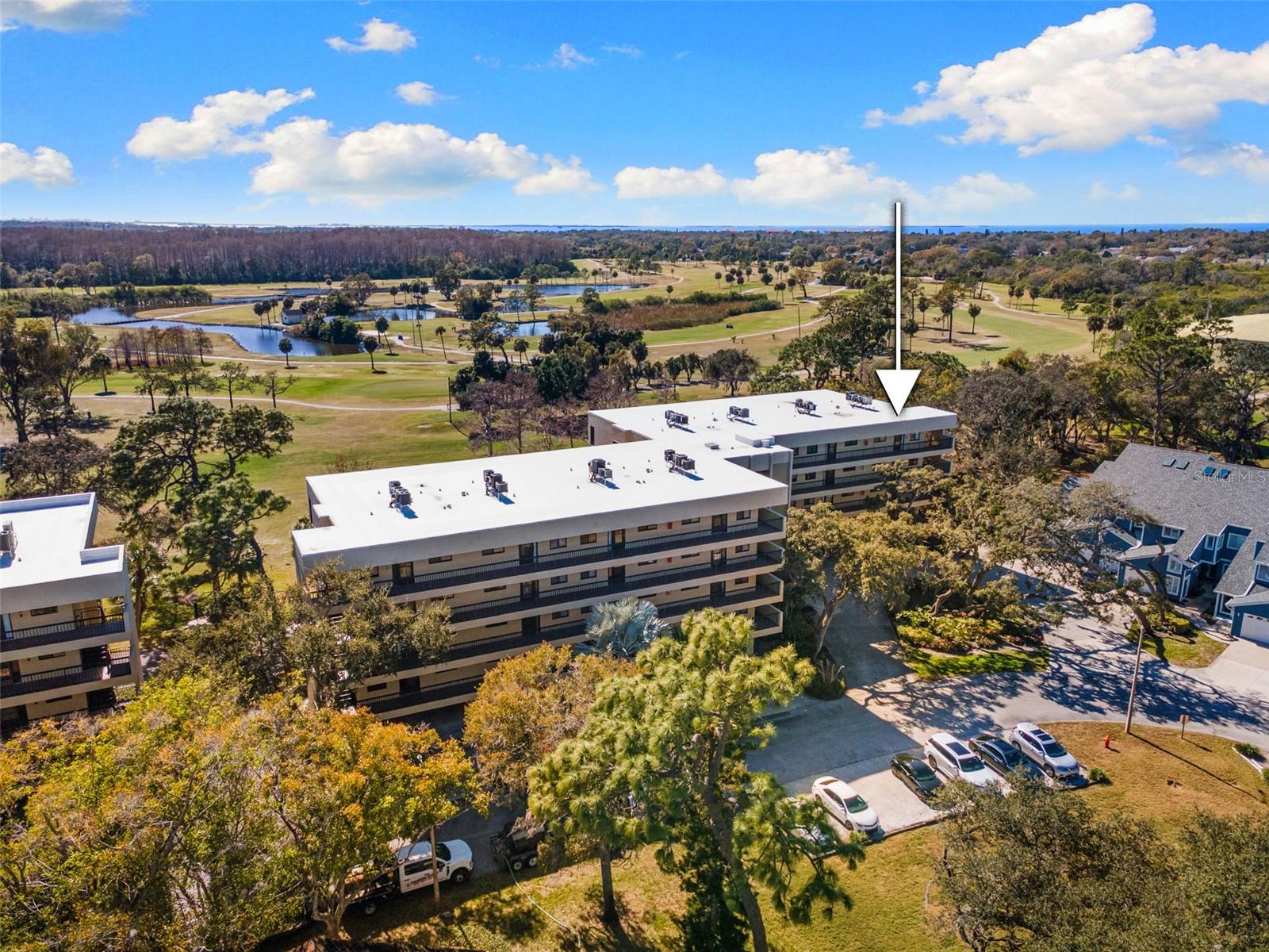 Building and Overall Landscape