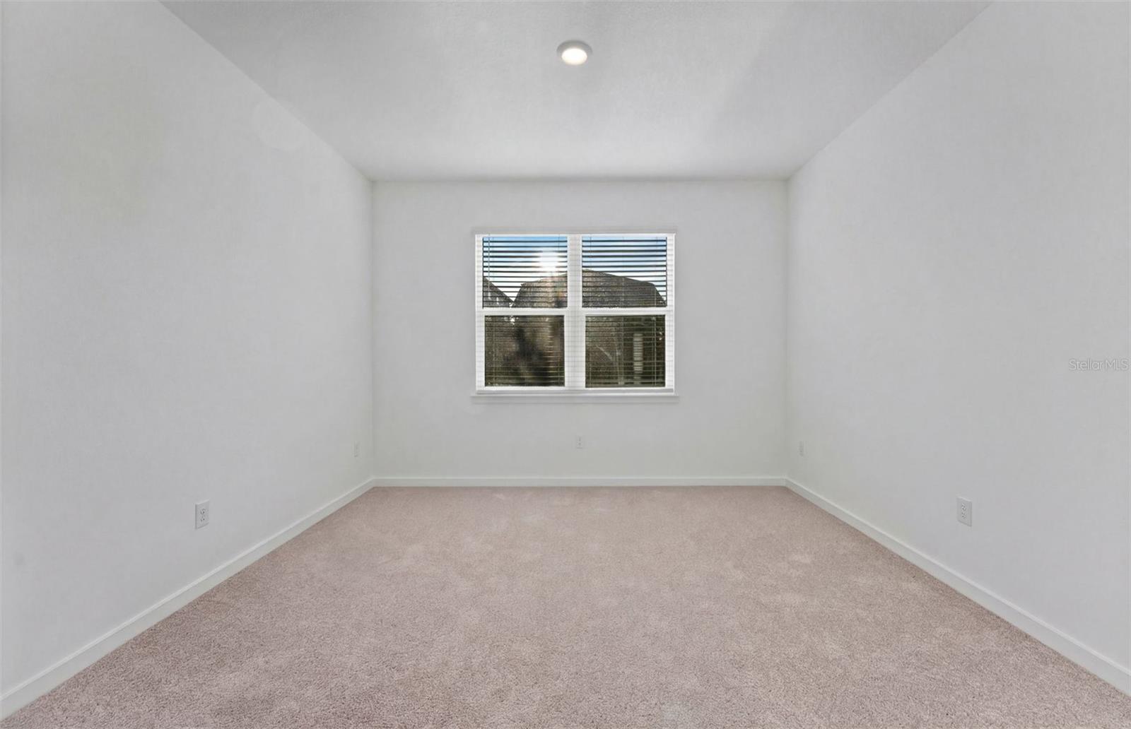 Model Representation