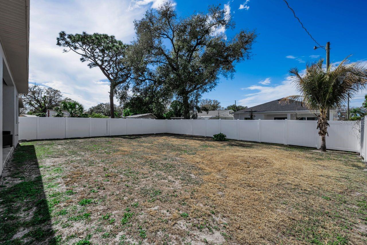 This backyard is a blank slate!