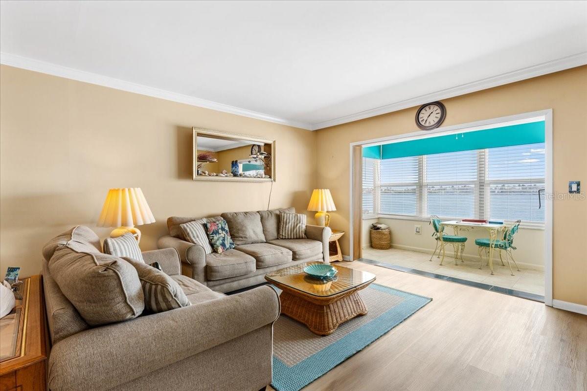 Welcome to #118 where you can watch the dolphins play from your living room!