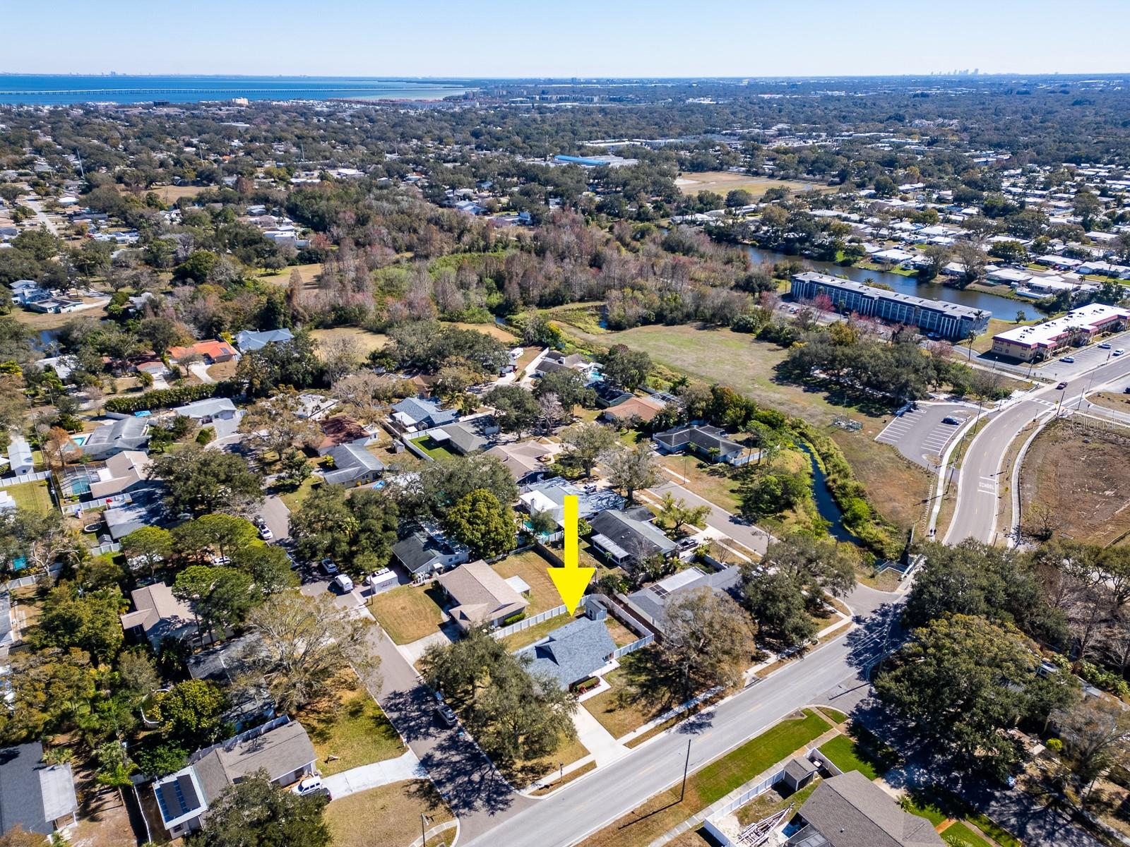 Between Tampa Bay and the Gulf