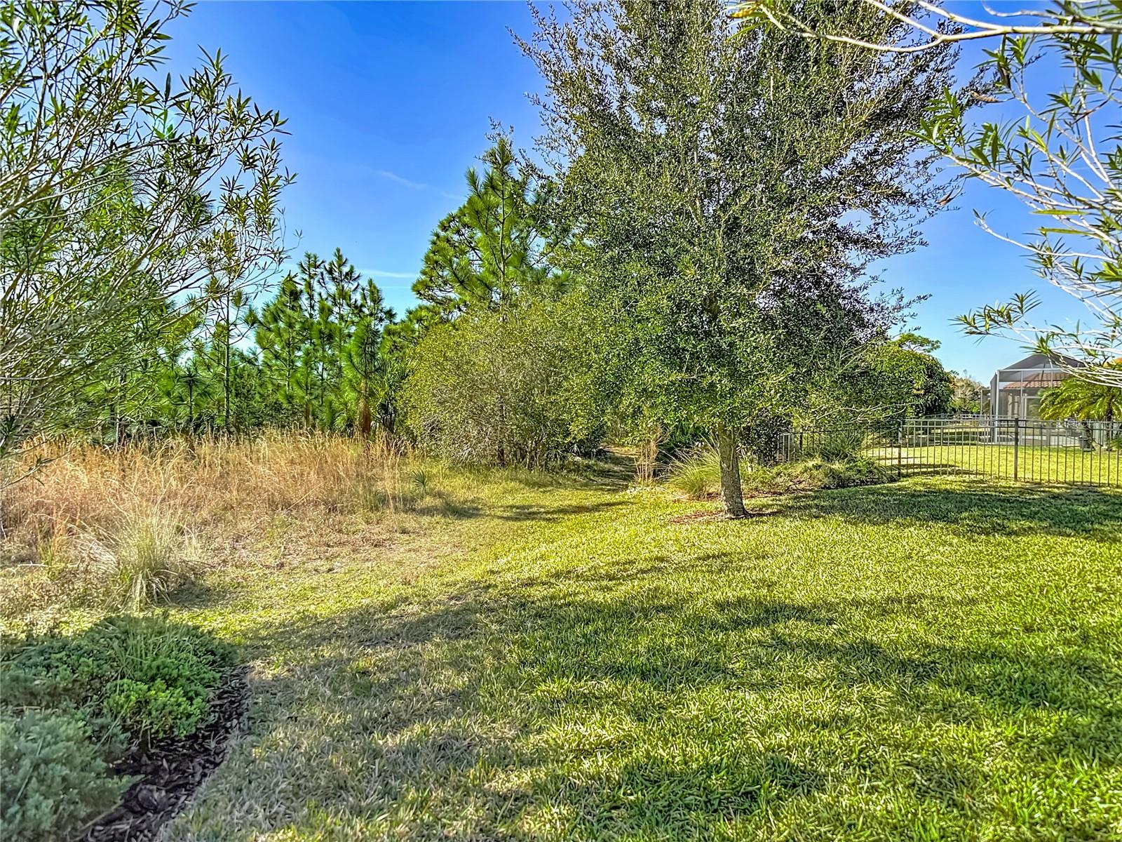 Conservation view behind the home