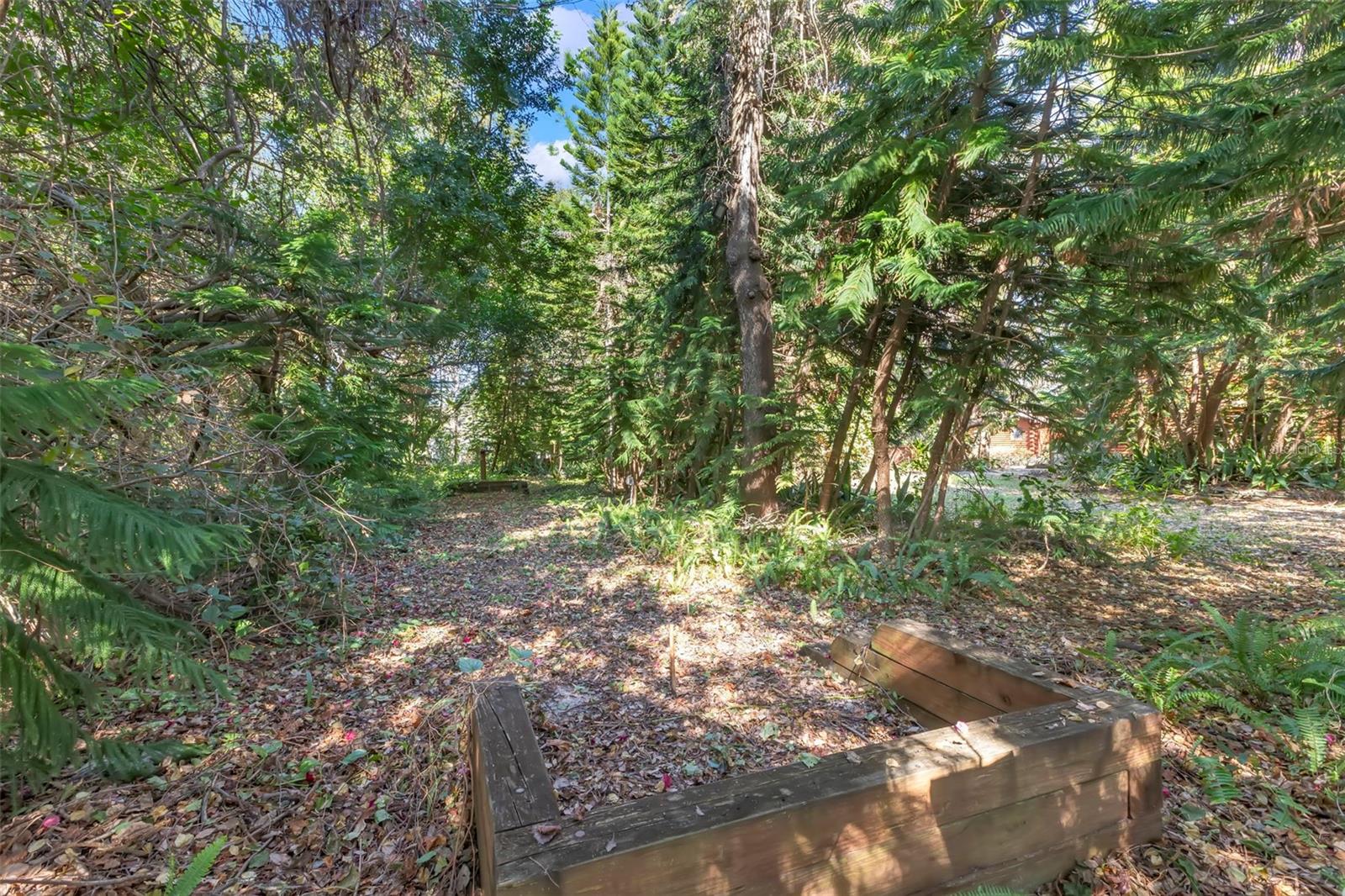 Horseshoes by day shaded by mature trees and by night illuminated by outdoor lighting.