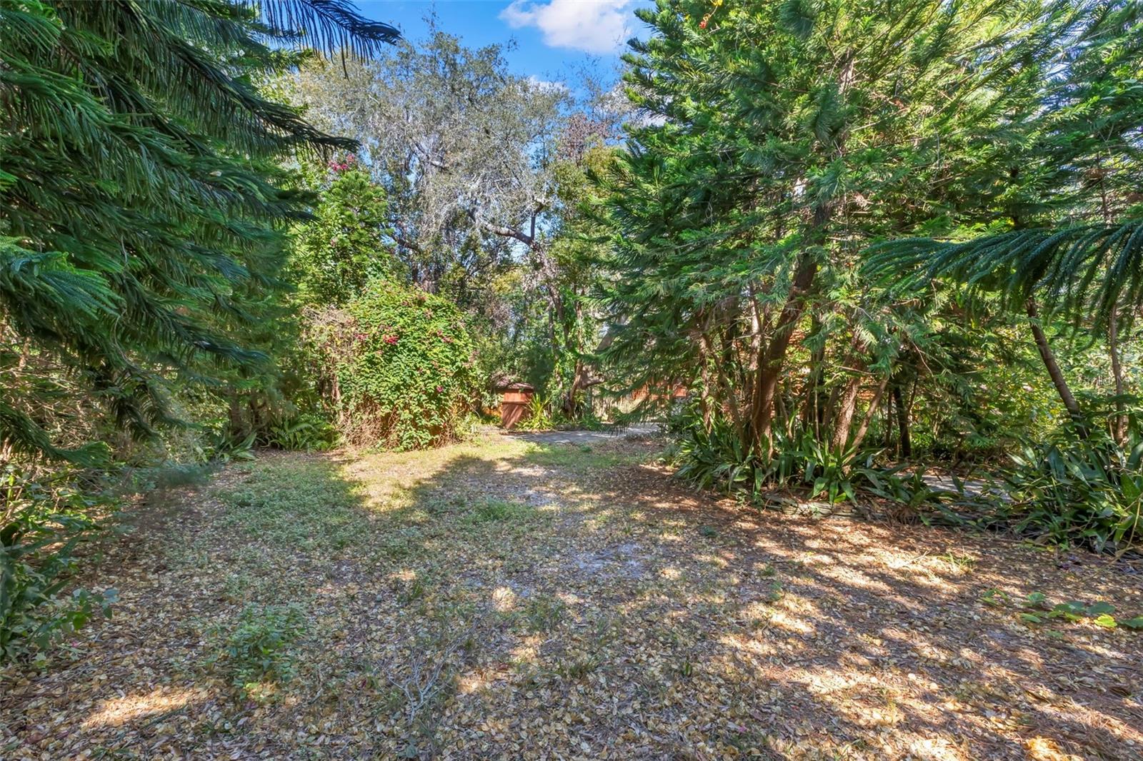 An expansive side yard offers plenty of room for a future pool or additional outdoor living space, surrounded by mature trees and natural landscaping that provide privacy, shade, and a peaceful, park-like setting.