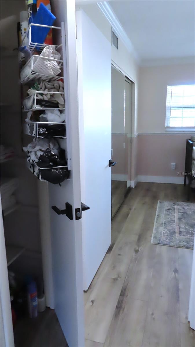 Linen/Utility Closet in the Hallway