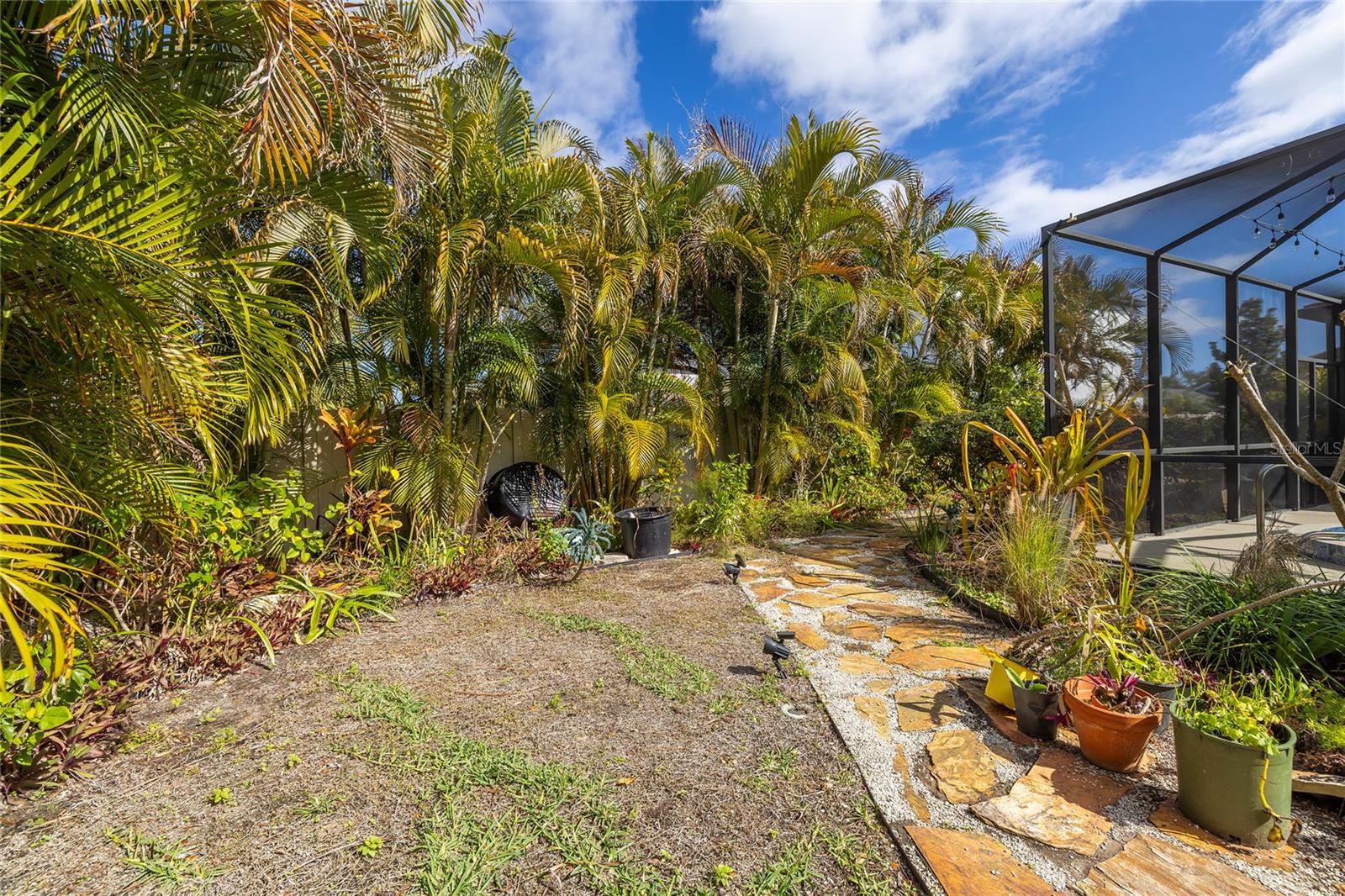 Backyard beyond the screened enclosure