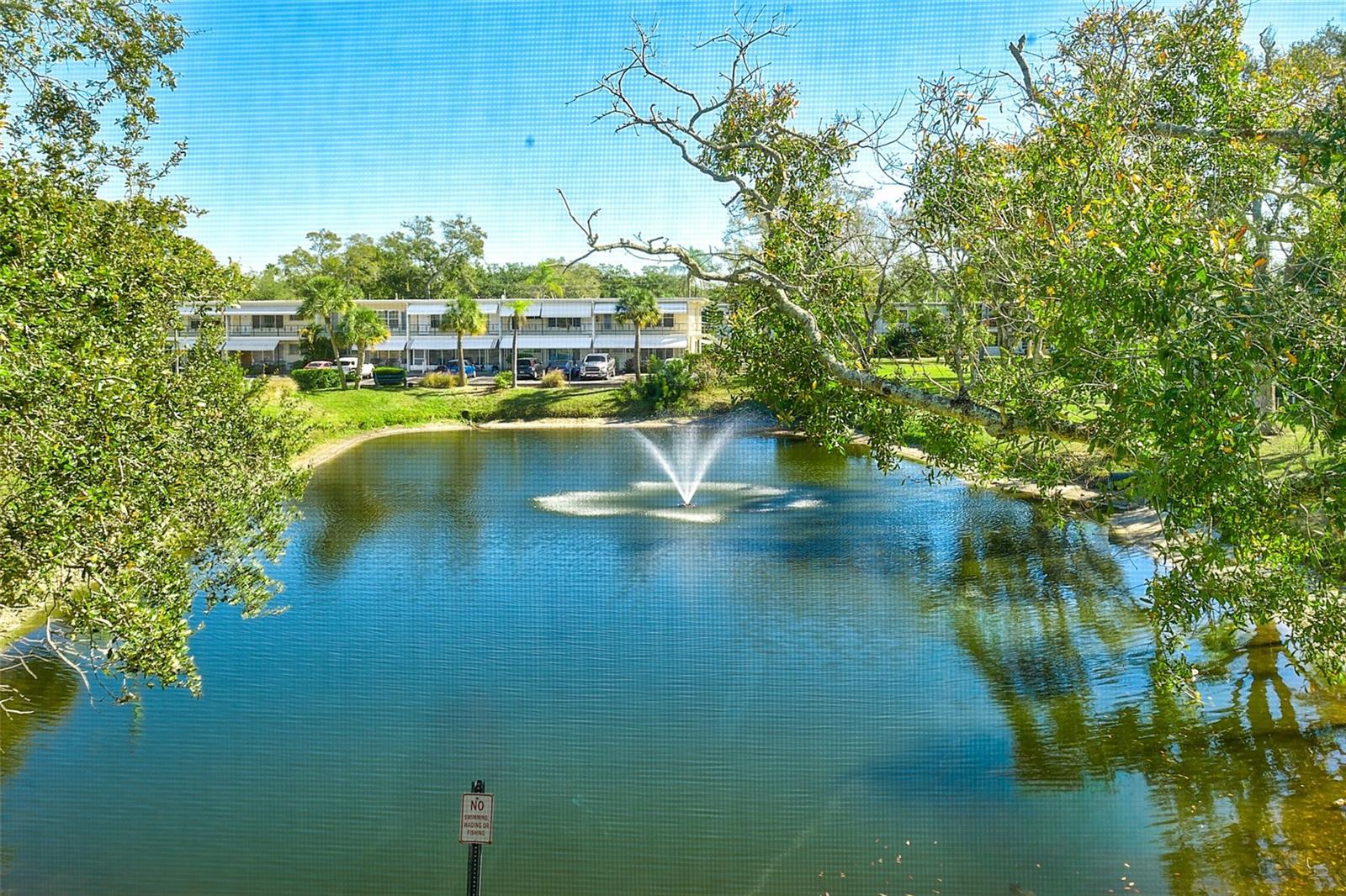 Pond View with Fountain