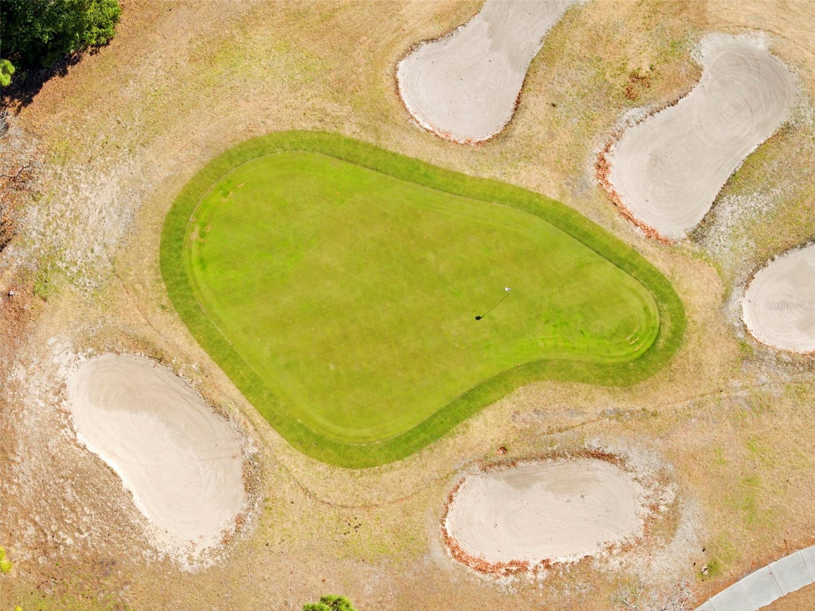 Par 3, 15th hole right in your backyard!