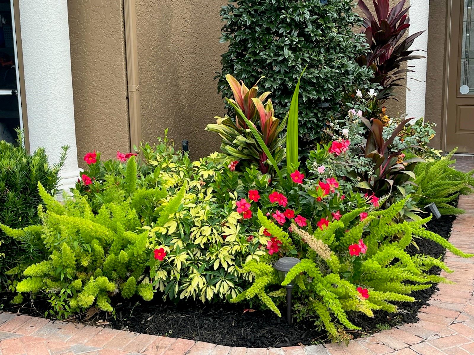 Lush landscaping