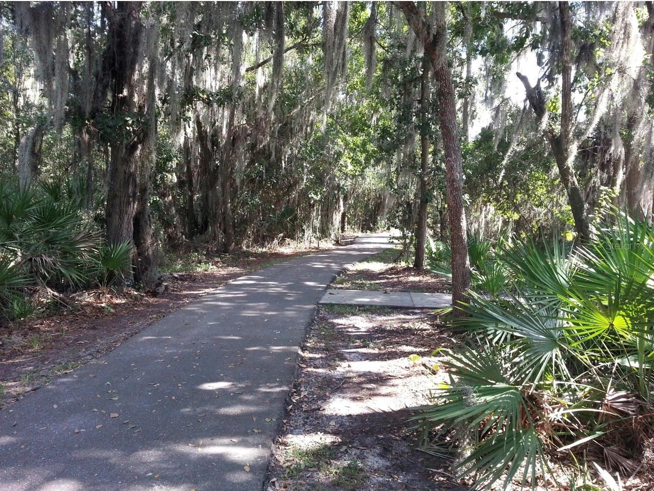 There are trails all over the Fishhawk community that residents can enoy!