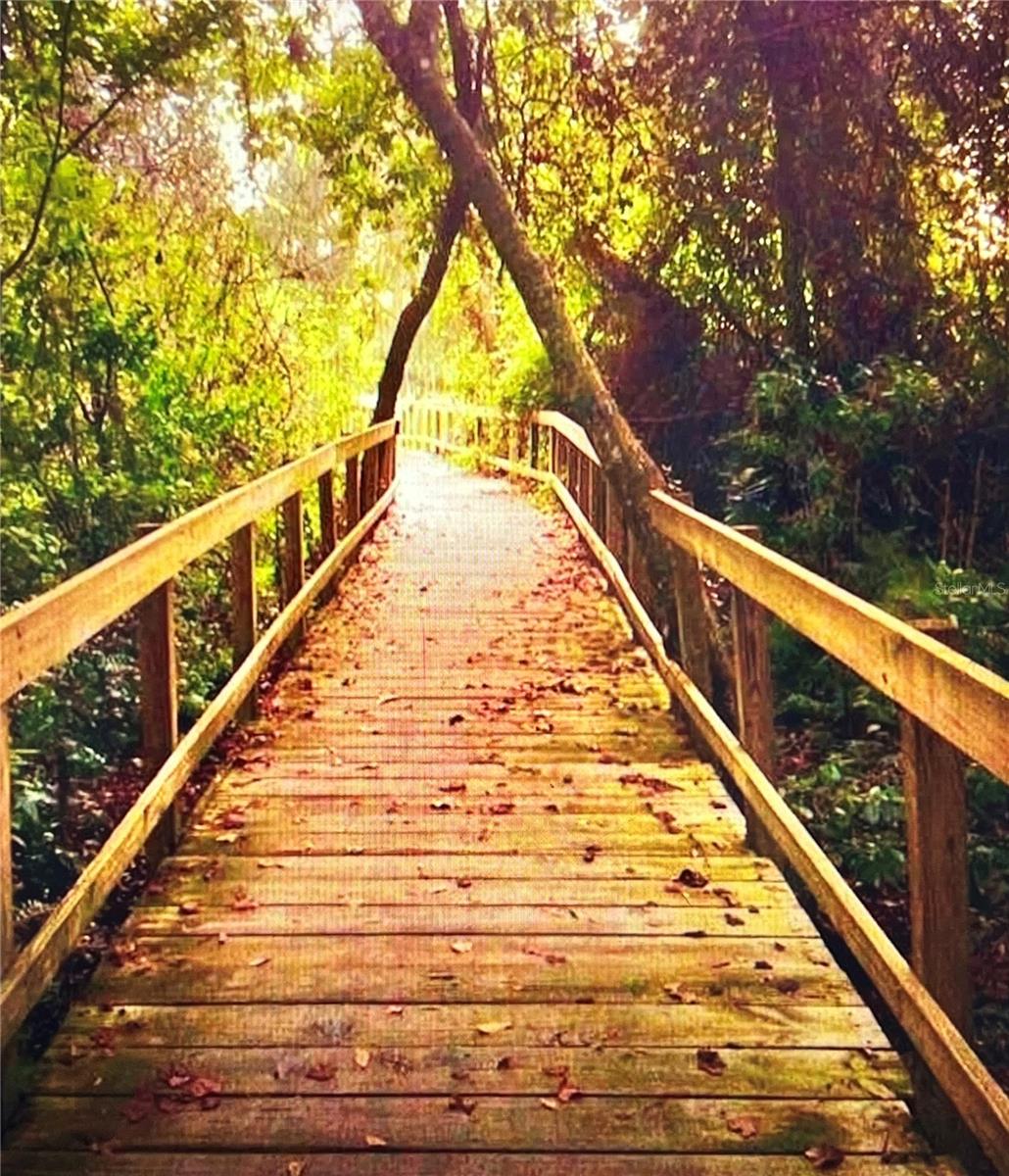 There are trails all over the Fishhawk community that residents can enoy!