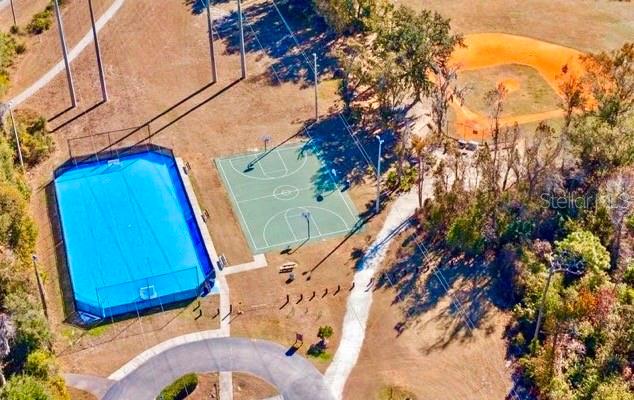 Soccer, Basketball, Baseball!