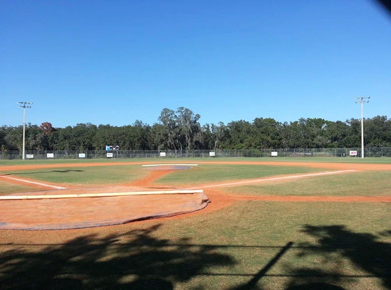 Fishhawk Sports Complex is a state-of-the-art facility with soccer, baseball, football, cheerleading, and lacrosse.  It also features trails and picnic shelters.