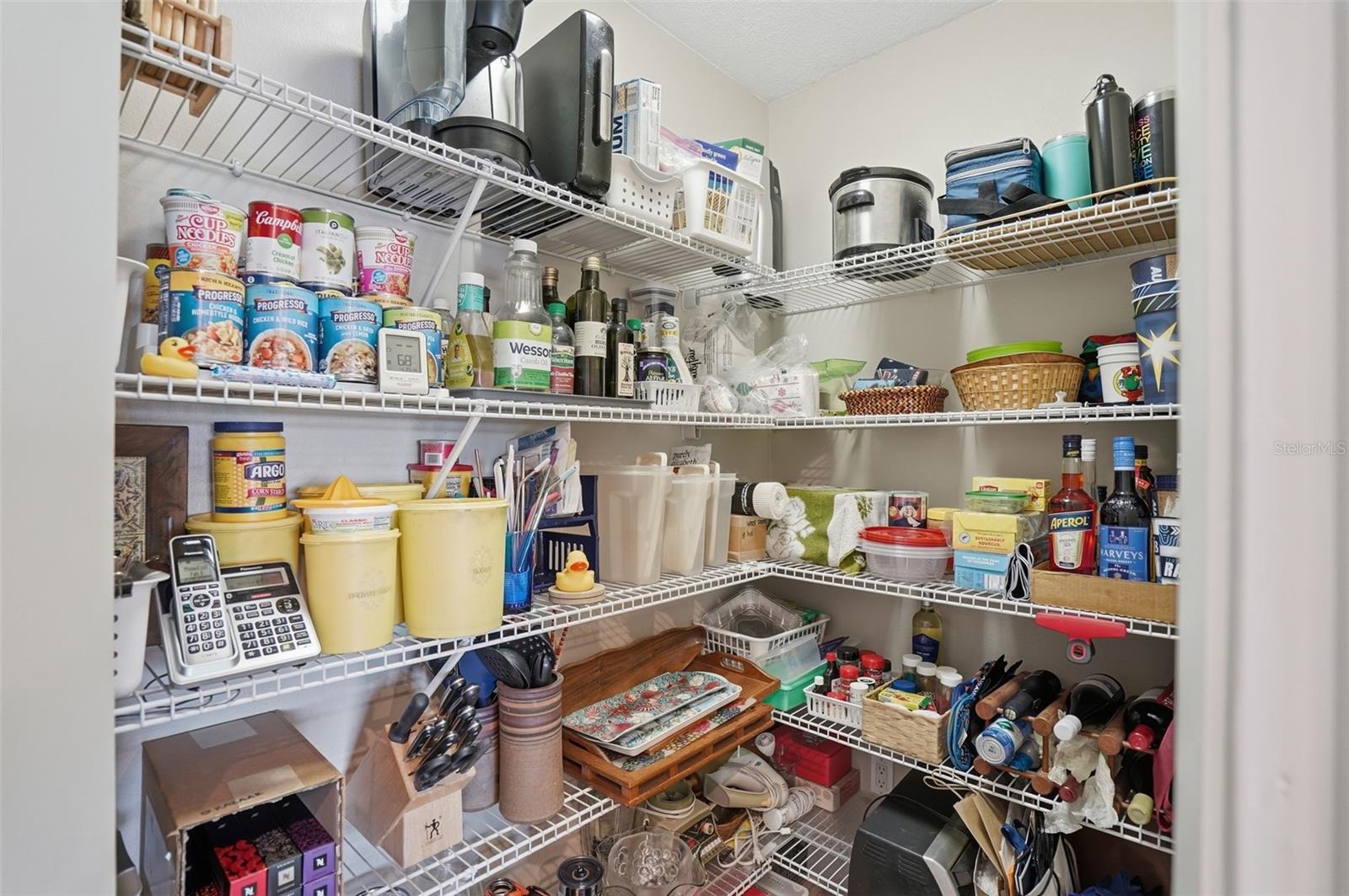 Walk-in Pantry from Kitchen
