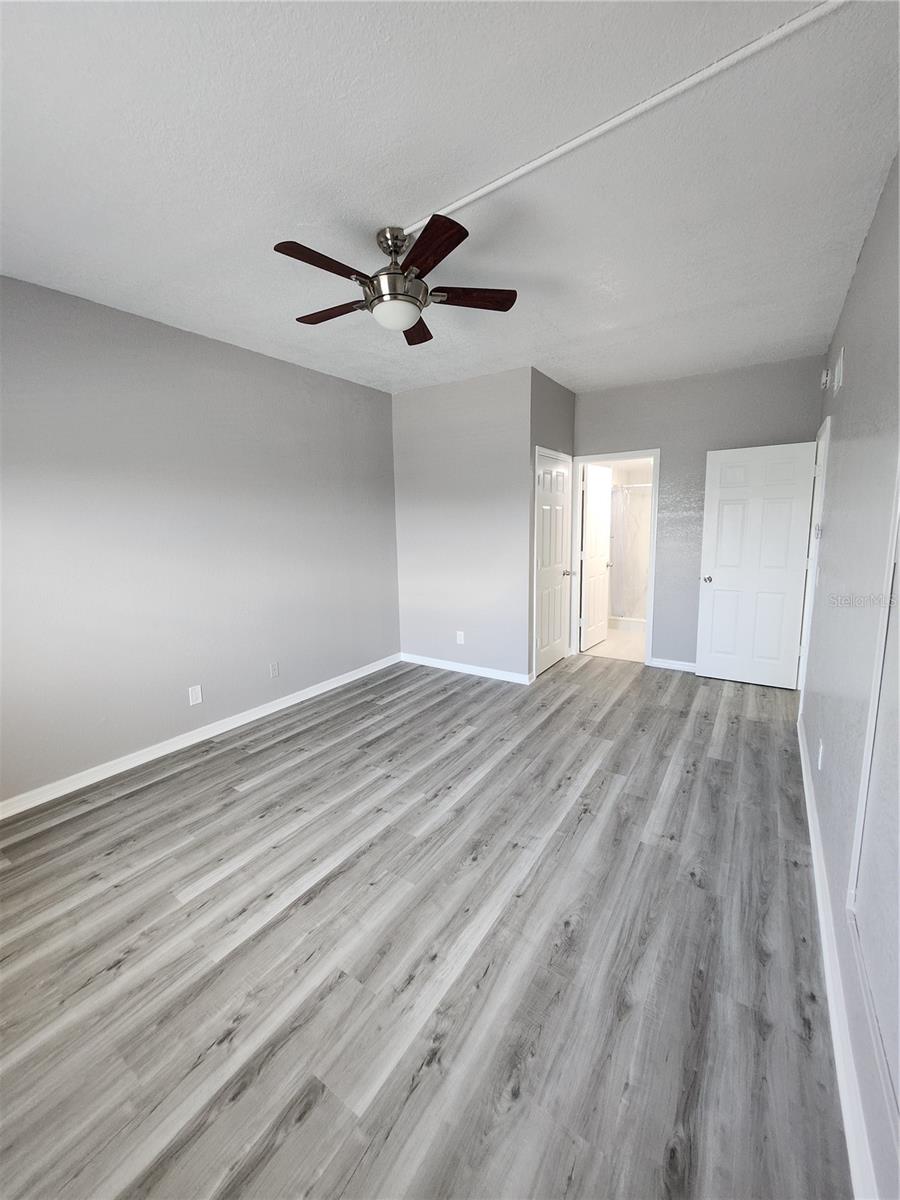 View from other side of Primary BR has large closet entry on left