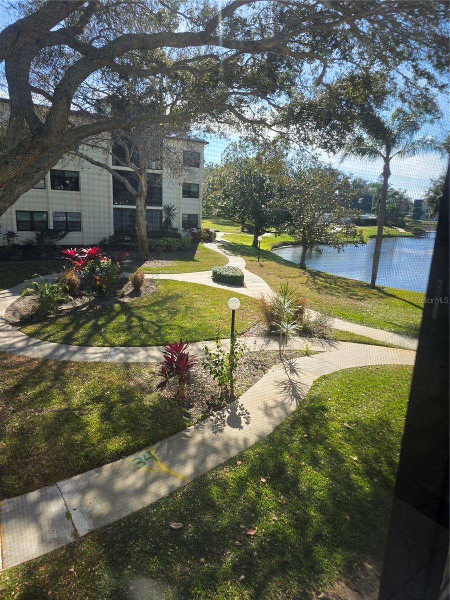 View from the Living room