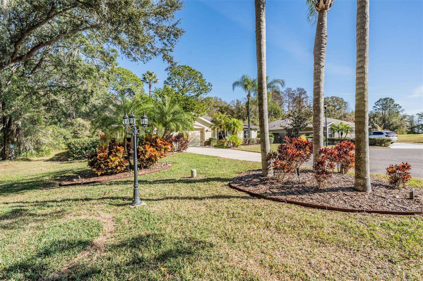 Conservation side yard in cul de sac