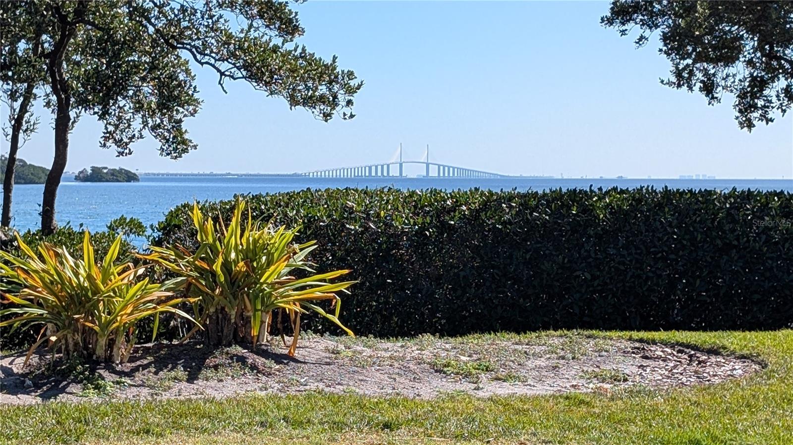 View of Skyway Bridge