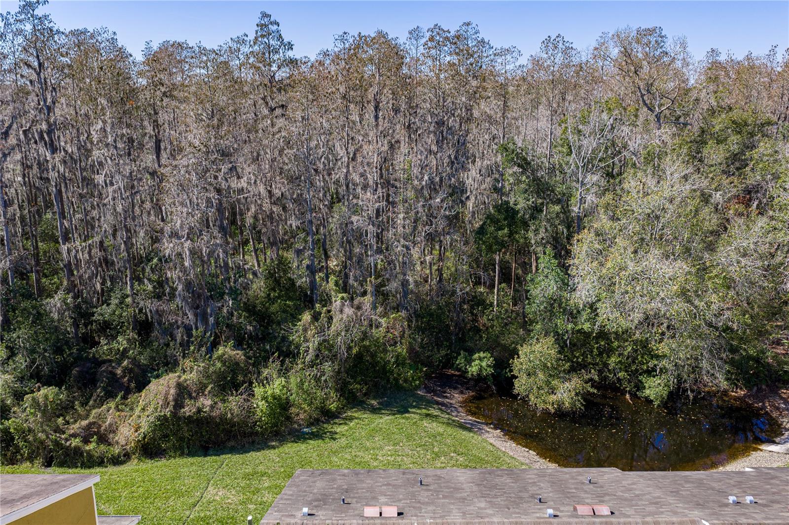 View of Wooded Conservation and Pond