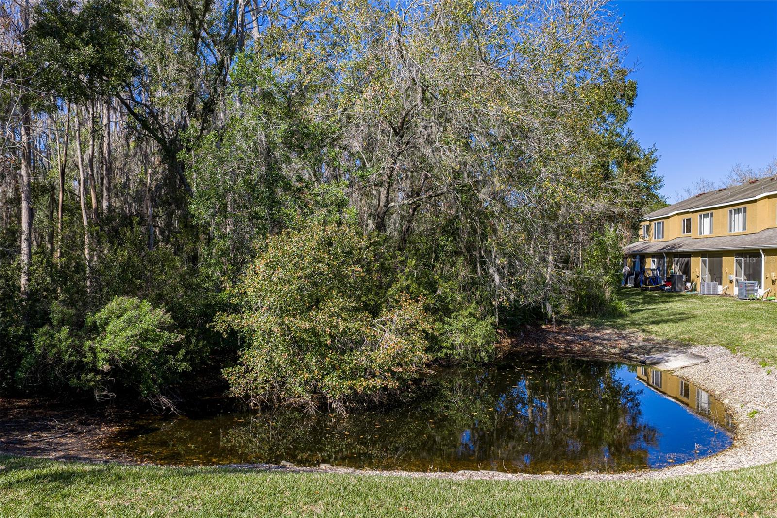 View of Wooded Conservation and Pond