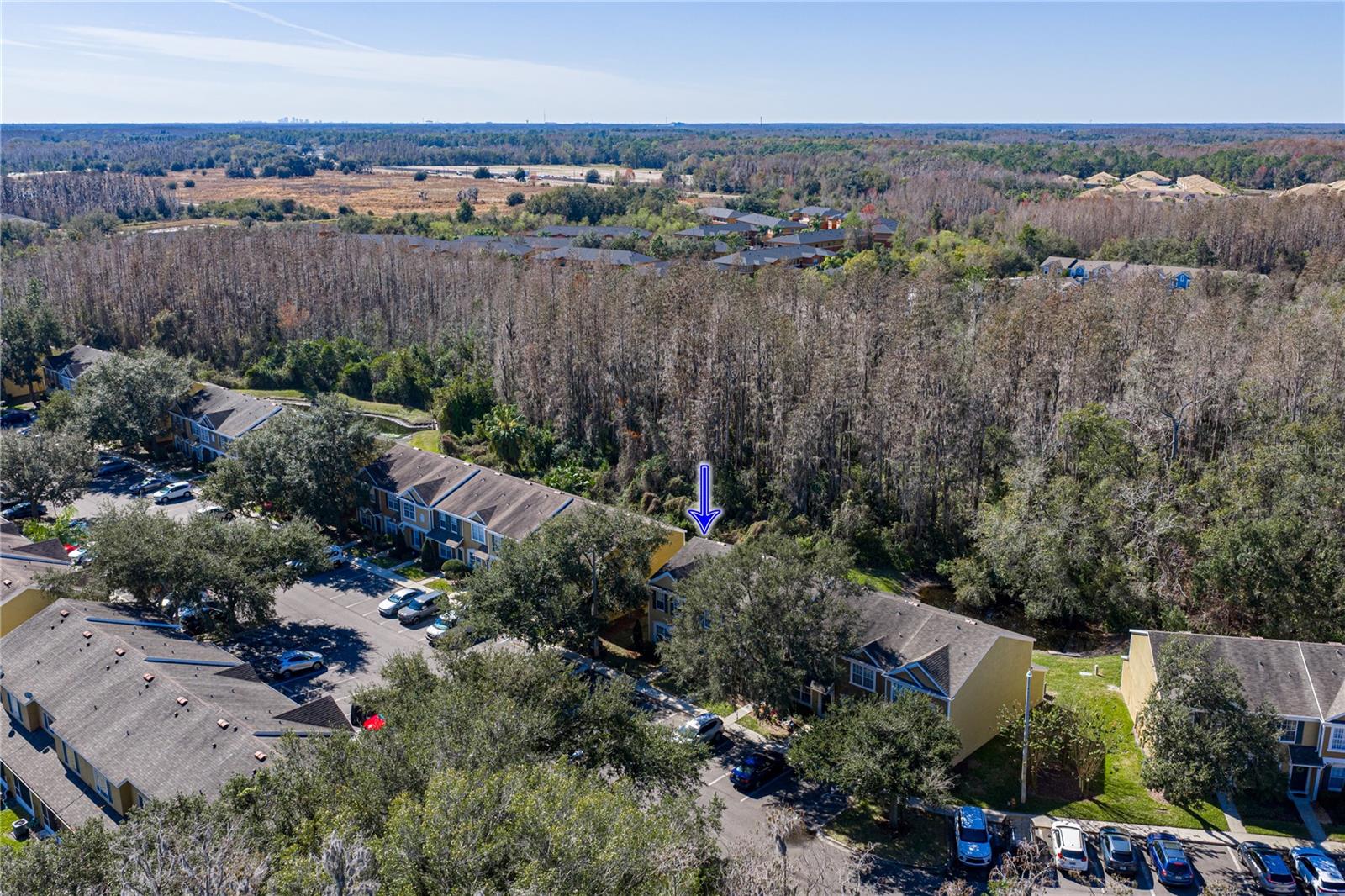 View of Wooded Conservation and Pond