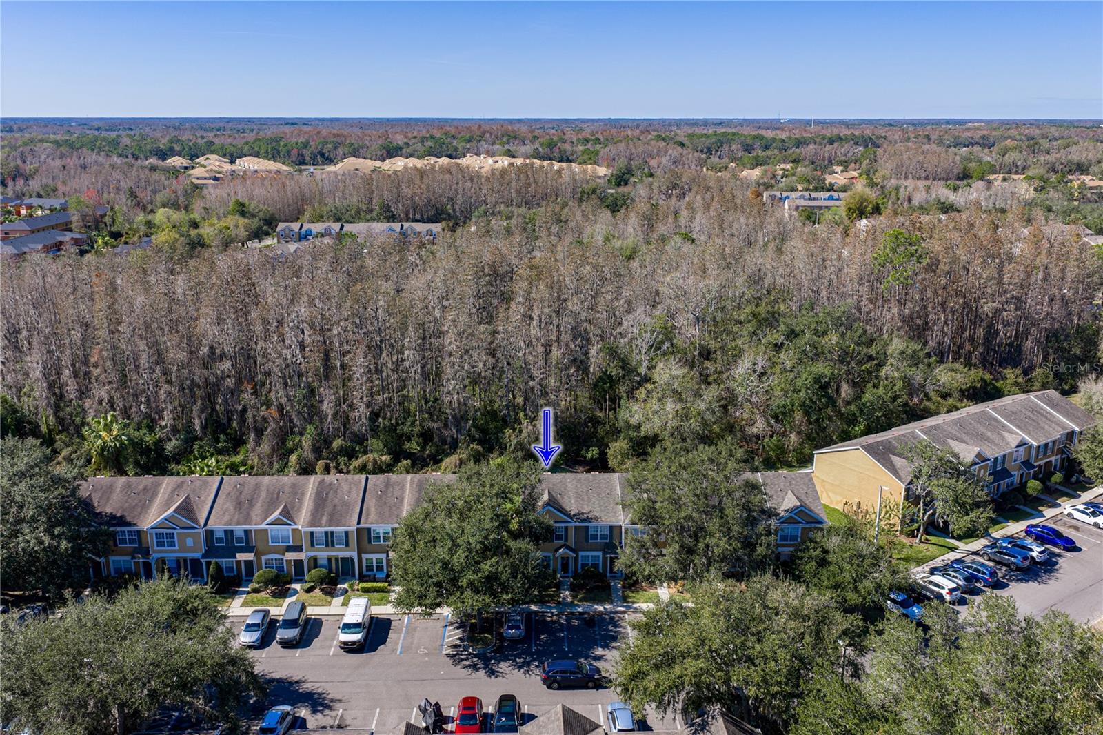 View of Wooded Conservation and Pond
