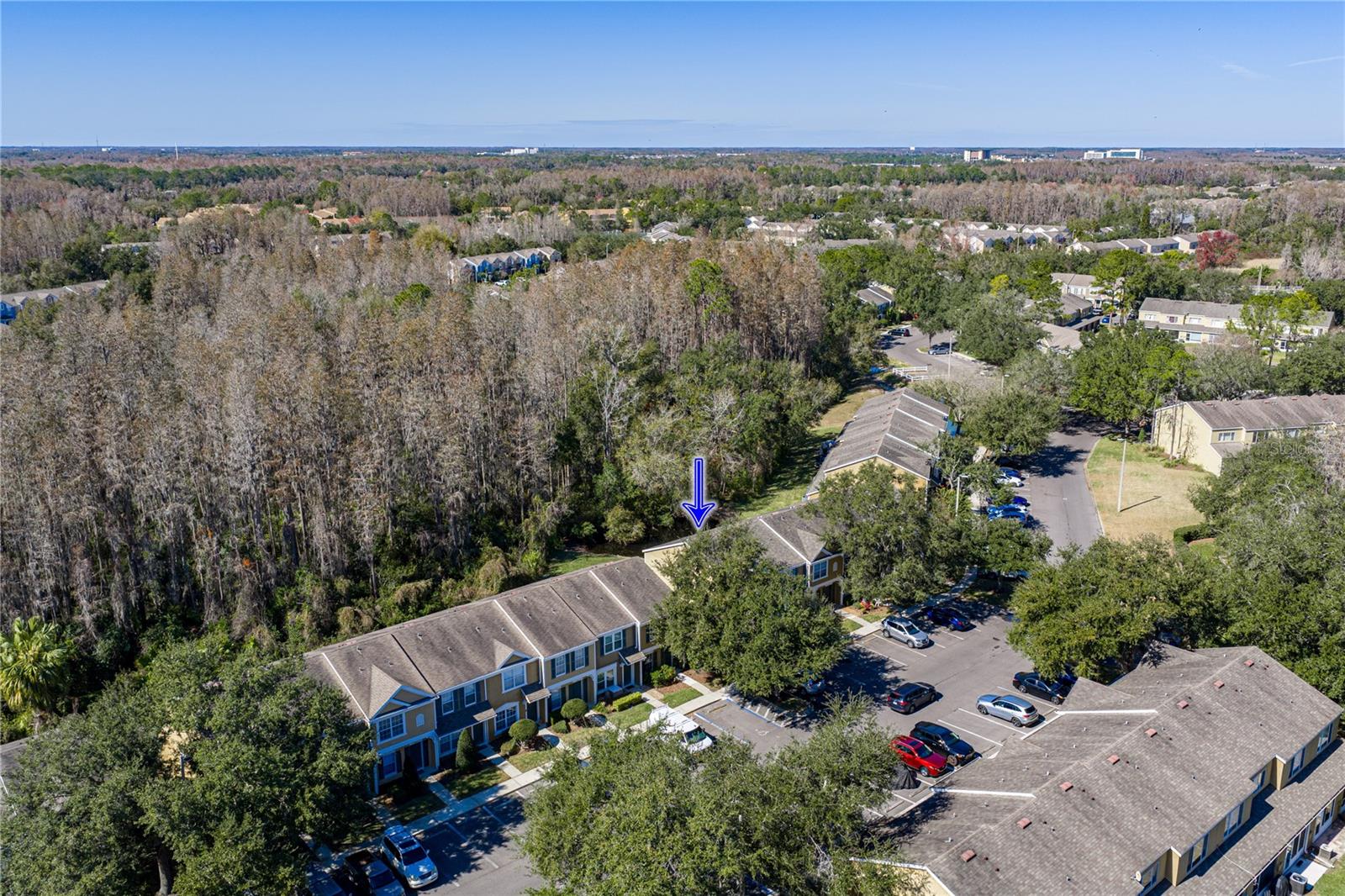 View of Wooded Conservation and Pond