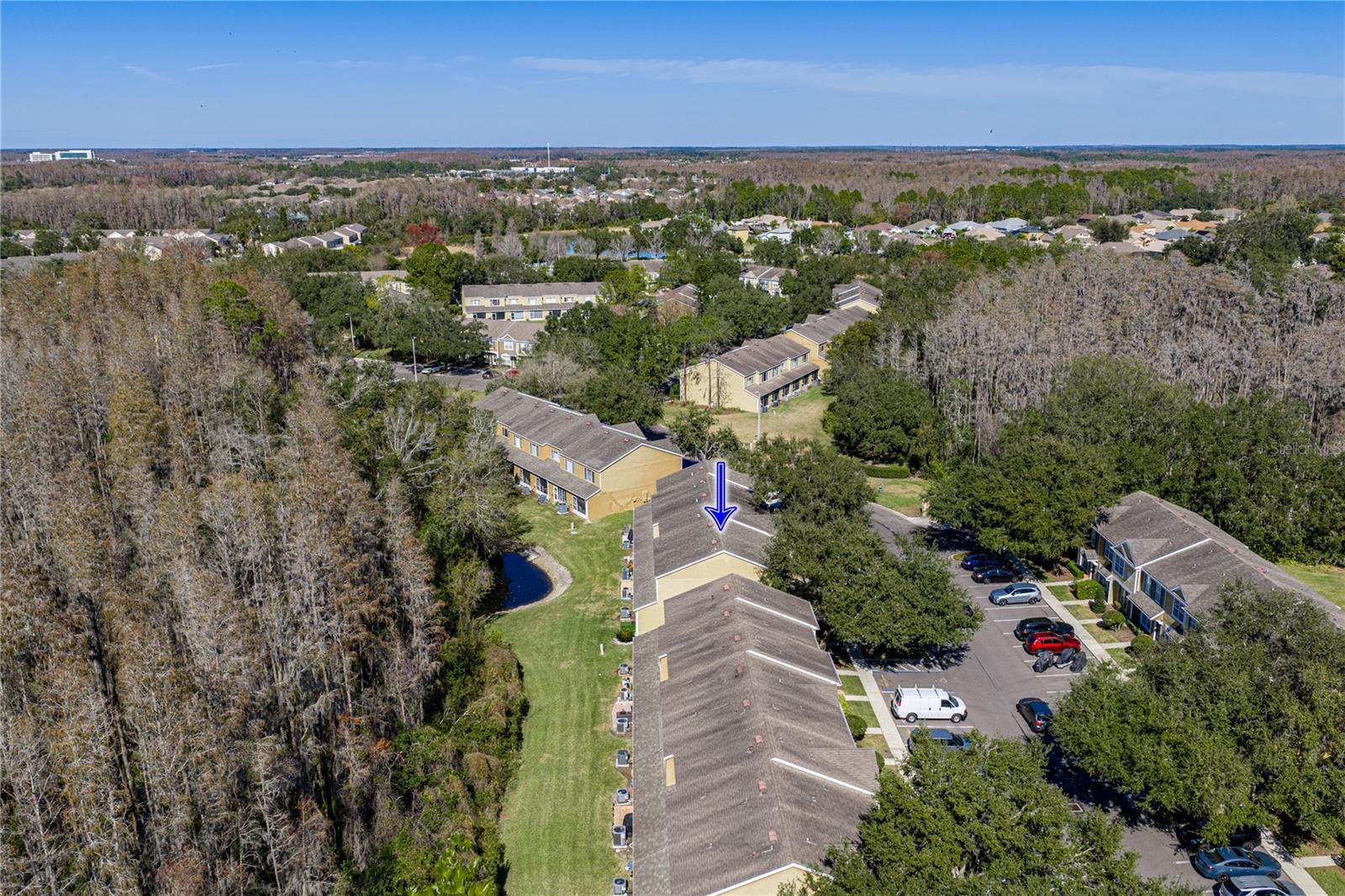 View of Wooded Conservation and Pond