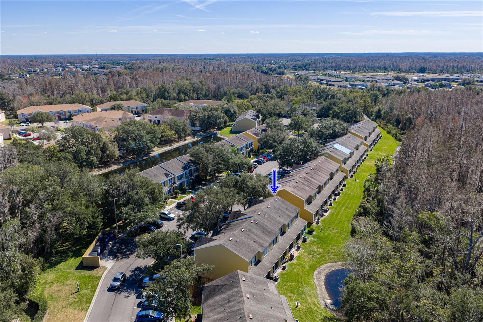 View of Wooded Conservation and Pond