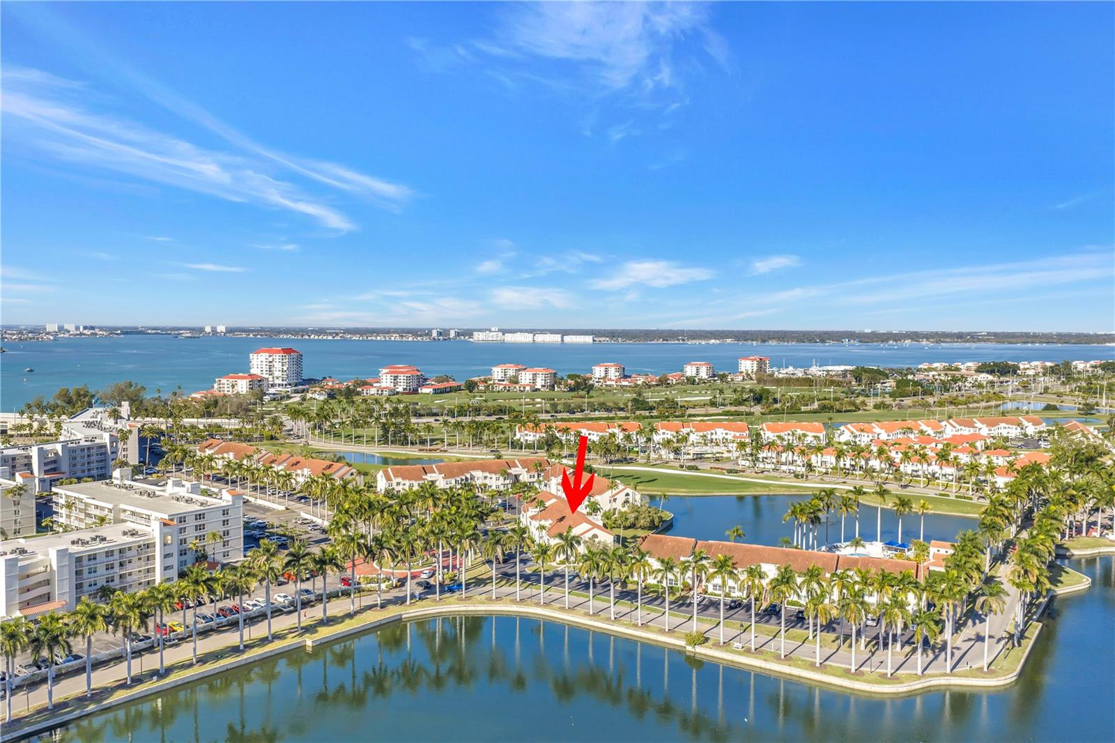 Palm tree lined streets with a Tropical Flair
