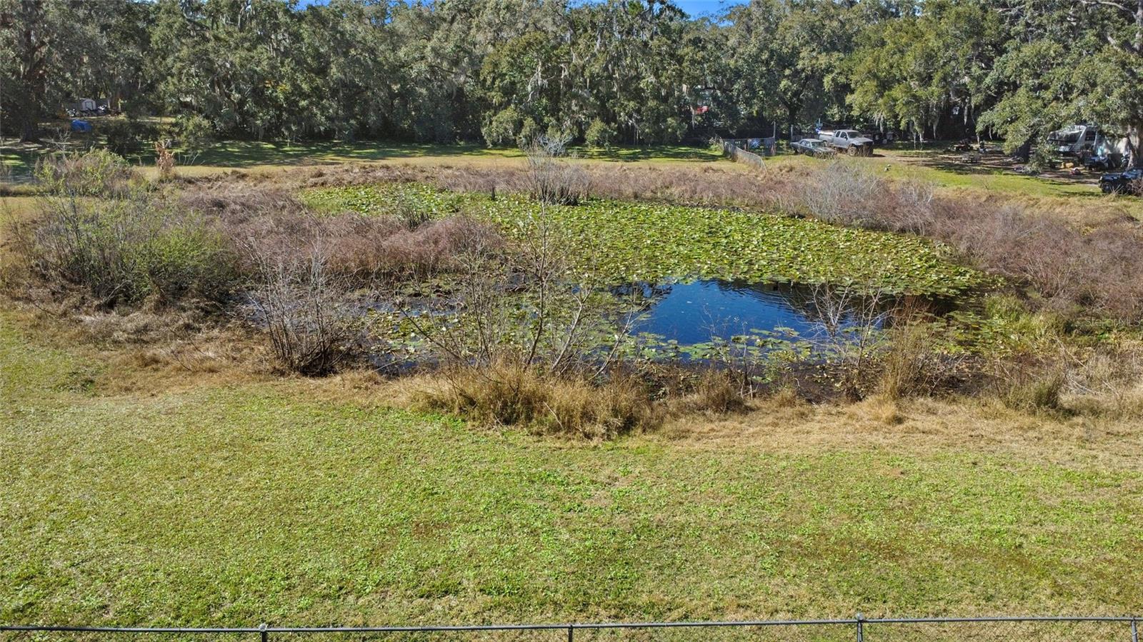 Pond Peaking Through