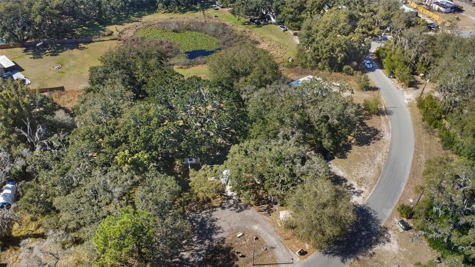 Lots of Greenery & Pond in Back