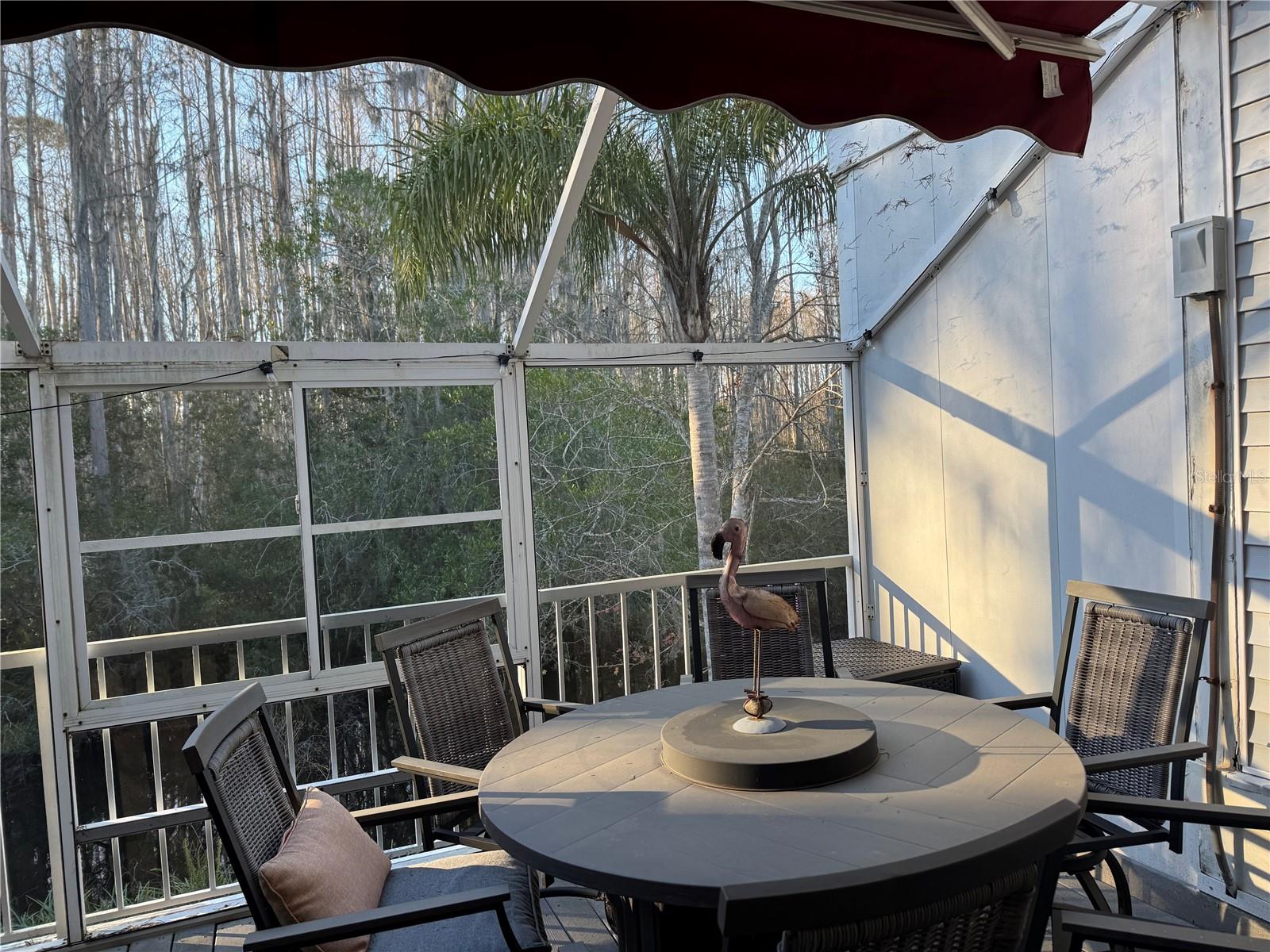 Rear Deck with Sunsetter